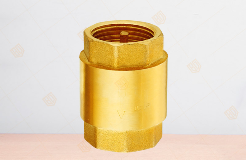 黃銅立式止回閥